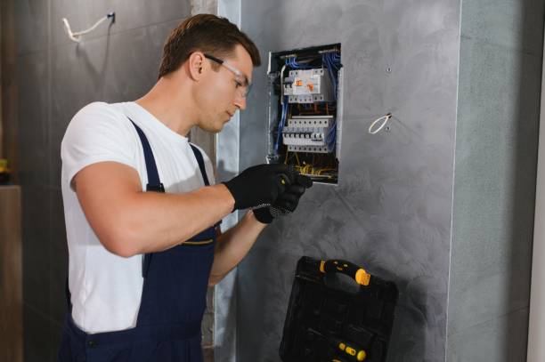 Best Electrical Troubleshooting Services  in Tower Lakes, IL
